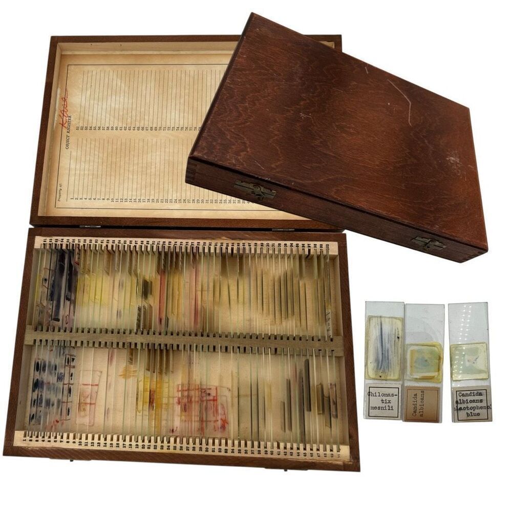 Vintage Microscope Slide Collection Medical Microbiology Teaching Set Wood Case